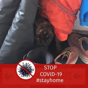 Meet your Posher, Colleen